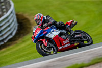 PJ-Motorsport-2019;anglesey;brands-hatch;cadwell-park;croft;donington-park;enduro-digital-images;event-digital-images;eventdigitalimages;mallory;no-limits;oulton-park;peter-wileman-photography;racing-digital-images;silverstone;snetterton;trackday-digital-images;trackday-photos;vmcc-banbury-run;welsh-2-day-enduro